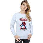 Sweat-shirt Marvel The Amazing Spider-Man