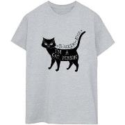 T-shirt Disney Hocus Pocus A Cat Person