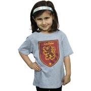 T-shirt enfant Harry Potter Gryffindor