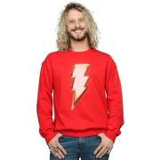 Sweat-shirt Dc Comics BI44481