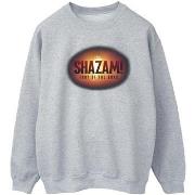 Sweat-shirt Dc Comics Shazam Fury Of The Gods 3D Logo Flare