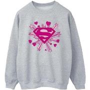 Sweat-shirt Dc Comics BI44644