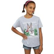 T-shirt enfant Dessins Animés BI24312