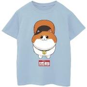 T-shirt enfant Disney Big Hero 6 Baymax Kitten Face