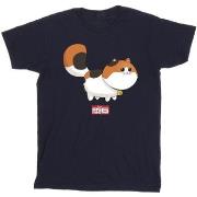 T-shirt enfant Disney Big Hero 6 Baymax Kitten Pose