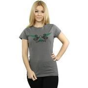 T-shirt Harry Potter BI23771