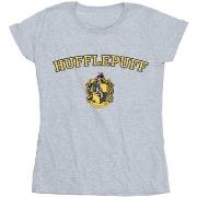 T-shirt Harry Potter BI23848