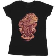 T-shirt Harry Potter BI24225