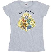 T-shirt Harry Potter BI24277