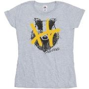 T-shirt Harry Potter Hufflepuff Pop Spray