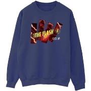 Sweat-shirt Dc Comics BI47258