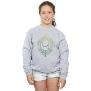 Sweat-shirt enfant Harry Potter BI19635