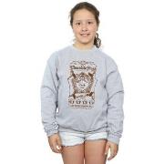 Sweat-shirt enfant Harry Potter Chocolate Frogs Mono Label