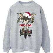 Sweat-shirt Gremlins BI26799