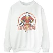 Sweat-shirt Dc Comics BI47958