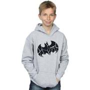 Sweat-shirt enfant Dc Comics BI49477