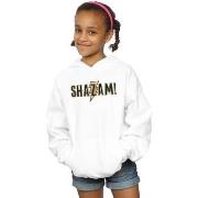 Sweat-shirt enfant Dc Comics BI49591