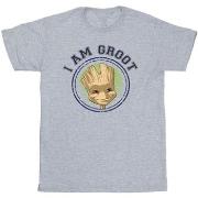 T-shirt enfant Guardians Of The Galaxy Groot Varsity