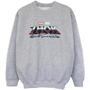 Sweat-shirt enfant Marvel Love And Thunder