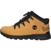 Chaussures Timberland TB0A2FEP231