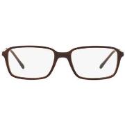 Lunettes de soleil Sferoflex SF1144 Cadres Optiques, Maron, 55 mm