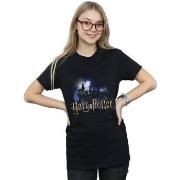 T-shirt Harry Potter BI27276