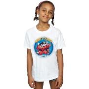 T-shirt enfant Dessins Animés What's Up Doc