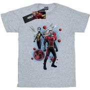 T-shirt Marvel Ant-Man And The Wasp Particle Pose