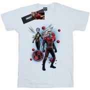 T-shirt Marvel BI11188