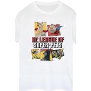 T-shirt Dc Comics BI21519