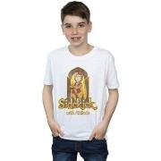 T-shirt enfant Disney Aladdin Movie Abu Sidekick With Attitude