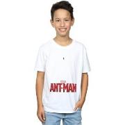 T-shirt enfant Marvel Ant Sized