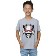 T-shirt enfant Marvel Ant-Man Helmet Distressed