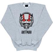 Sweat-shirt enfant Marvel Ant-Man Helmet