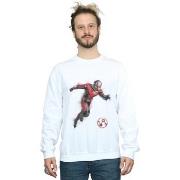 Sweat-shirt Marvel Avengers Endgame Painted Ant-Man
