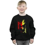 Sweat-shirt enfant Marvel BI5896