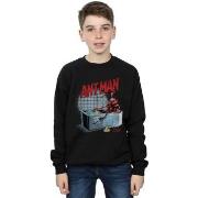 Sweat-shirt enfant Marvel Ant-Man And The Wasp Bathing Ant