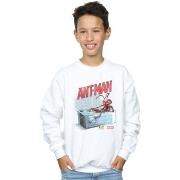 Sweat-shirt enfant Marvel Ant-Man And The Wasp Bathing Ant