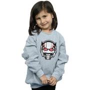 Sweat-shirt enfant Marvel BI6197