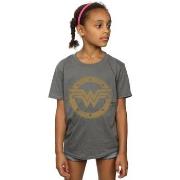 T-shirt enfant Dc Comics BI22433