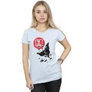 T-shirt Dc Comics BI24671