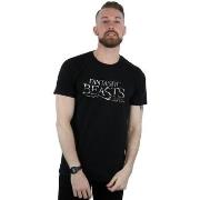 T-shirt Fantastic Beasts BI24944