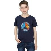 T-shirt enfant Dc Comics Aquaman Tropical Logo