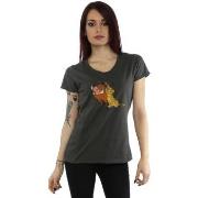 T-shirt Disney Classic Simba, Timon And Pumbaa