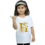 T-shirt enfant Harry Potter Hufflepuff Badger