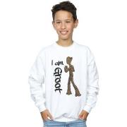 Sweat-shirt enfant Marvel Avengers Infinity War Graffiti Groot