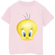 T-shirt enfant Dessins Animés BI25244