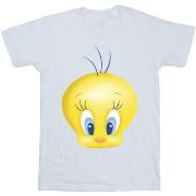 T-shirt enfant Dessins Animés BI25244