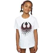 T-shirt enfant Disney The Last Jedi