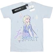 T-shirt enfant Disney Frozen 2 Free Spirit